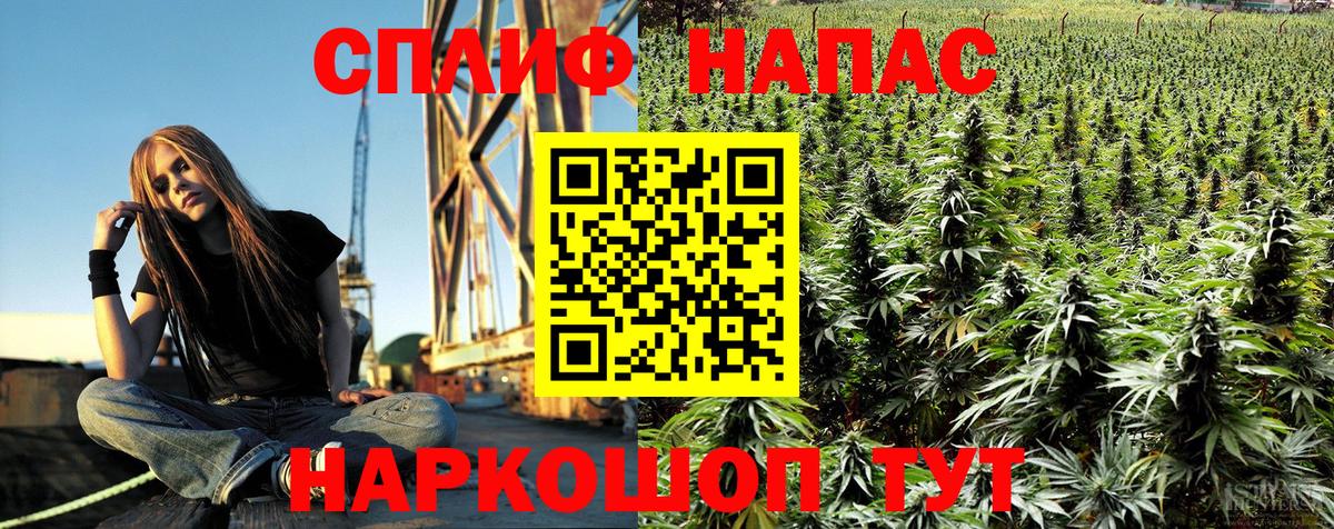 Бошки марихуана сатива Костомукша